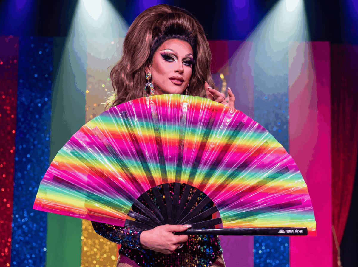 Festival Fans, gennemsigtige med regnbuefarvede striber til CSD & Pride, Visning 5